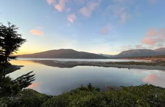 f83f71f2 a75c 4f NOzFm