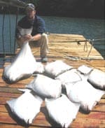 HINDSIGHT FISHING CHARTERS
