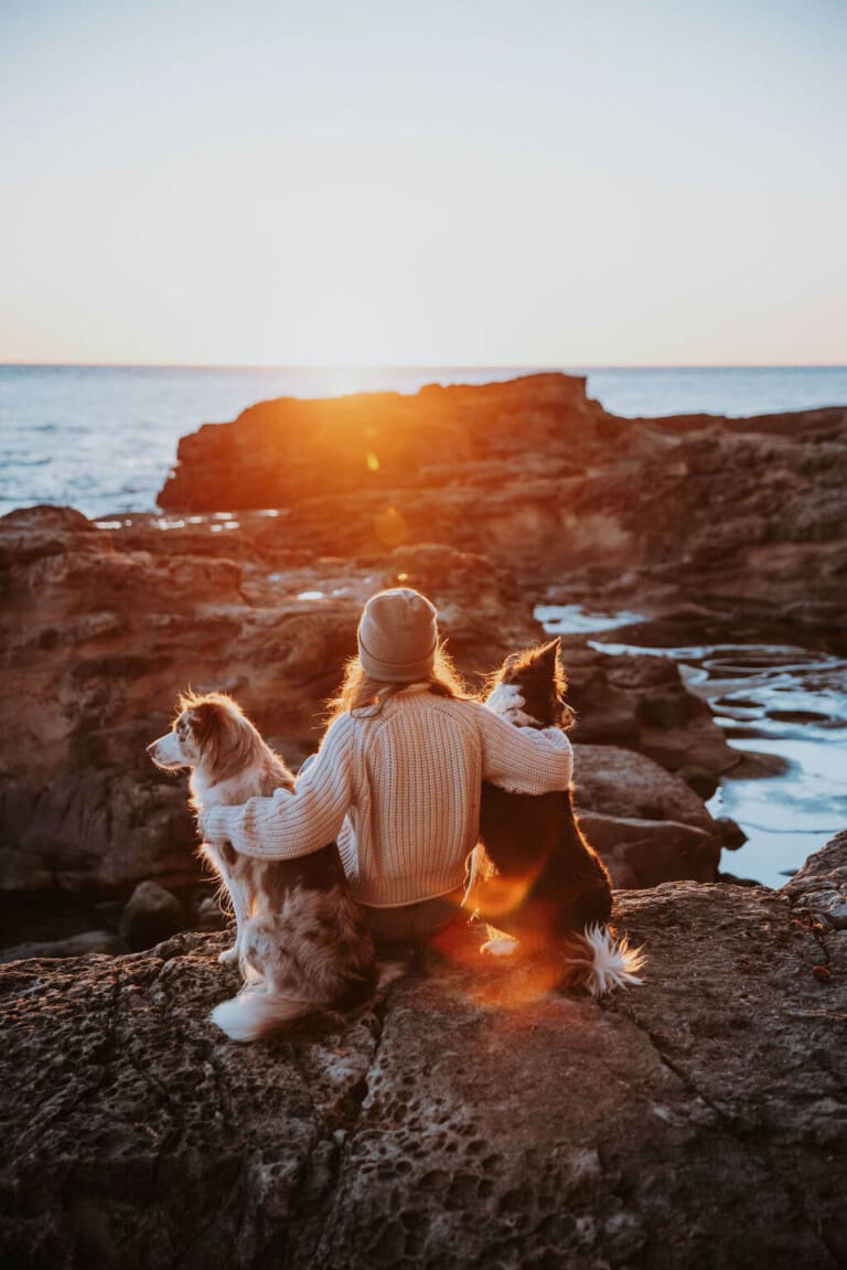 17 CT with dogs at beach