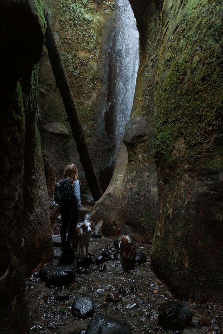 24 CT Sombrio Waterfall with dogs