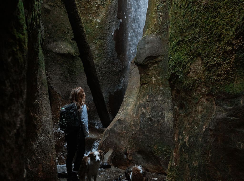 Camille from @thenorthernborders Sombrio Waterfall with dogs