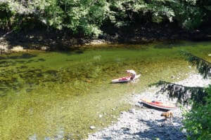 Muir Creek1
