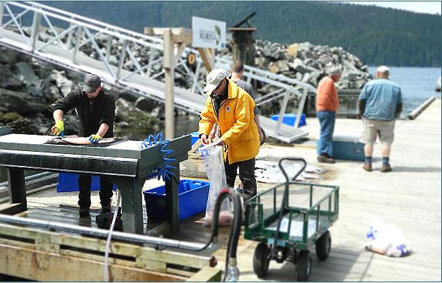 Pacific Gateway Marina1