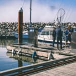 Pacific Gateway Marina4