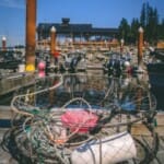 Pacific Gateway Marina8