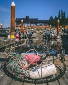 Pacific Gateway Marina8