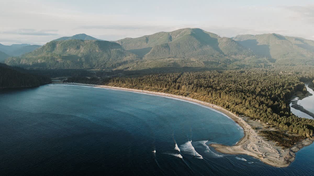 539415ba 3352 42 sK9Ng